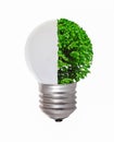 Energy concept, symbolizing renewable energy, bio energy Royalty Free Stock Photo