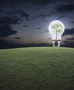 Energy conservation and environmental concept Royalty Free Stock Photo