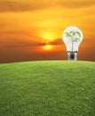 Energy conservation and environmental concept Royalty Free Stock Photo