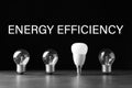 Energy efficiency concept. Incandescent and LED lamp bulbs on table Royalty Free Stock Photo