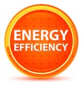 Energy Efficiency Natural Orange Round Button Royalty Free Stock Photo