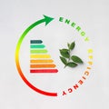 Energy efficiency rating and green leaves on light background