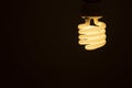 Energy efficient fluorescent glowing light bulb on dark background Royalty Free Stock Photo