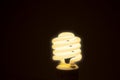 Energy efficient fluorescent glowing light bulb on dark background Royalty Free Stock Photo