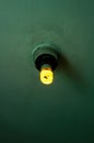 Energy efficient fluorescent lamp on a green ceiling Royalty Free Stock Photo