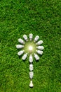 Energy efficient light bulbs on green grass Royalty Free Stock Photo