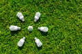 Energy efficient light bulbs on green grass Royalty Free Stock Photo