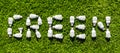Energy efficient light bulbs on green grass Royalty Free Stock Photo