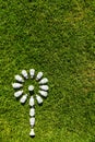 Energy efficient light bulbs on green grass