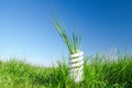 Energy-efficient spiral bulb in green grass Royalty Free Stock Photo