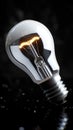 Energy efficient white bulb glows on dark black backdrop impressively Royalty Free Stock Photo