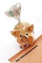 Energy pass and piggy bank with Euro notes Royalty Free Stock Photo