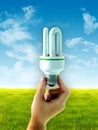 Energy saving bulb Royalty Free Stock Photo