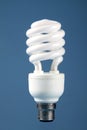 Energy Saving Bulb Royalty Free Stock Photo