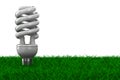 Energy saving bulb on grass Royalty Free Stock Photo