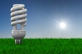 Energy saving bulb on grass Royalty Free Stock Photo