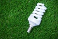 Energy saving bulb in the grass Royalty Free Stock Photo