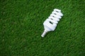 Energy saving bulb in the grass Royalty Free Stock Photo