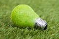 Energy saving bulb on green grass Royalty Free Stock Photo