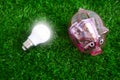 Bulb light and a piggy bank on the lawn. Royalty Free Stock Photo