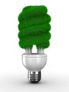 Energy saving bulb on white background Royalty Free Stock Photo