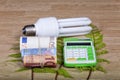 Energy saving bulbs with calculator and money. Royalty Free Stock Photo