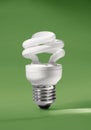 Energy saving compact fluorescent lamp