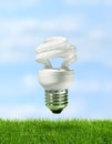 Energy saving compact fluorescent lamp Royalty Free Stock Photo