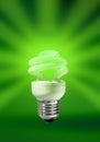 Energy saving compact fluorescent lamp Royalty Free Stock Photo