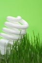 Energy saving compact fluorescent lightbulb Royalty Free Stock Photo