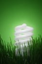 Energy saving compact fluorescent lightbulb Royalty Free Stock Photo