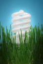 Energy saving compact fluorescent lightbulb Royalty Free Stock Photo