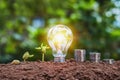 energy saving concept lightbulb with plant growing and money sta Royalty Free Stock Photo