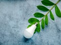 Energy-saving economical light bulb on a background of green leaves, as a symbol of environmental friendliness and environmental