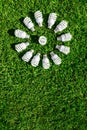 Energy saving electric bulbs on green grass Royalty Free Stock Photo