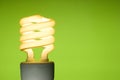 Energy saving fluorescent light bulb Royalty Free Stock Photo