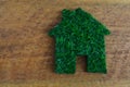 Energy saving, house made of grass. Royalty Free Stock Photo