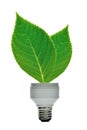 Energy saving lamp Royalty Free Stock Photo