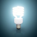 Energy saving lamp Royalty Free Stock Photo