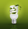 Energy saving lamp concept with lightbulb and green leaves Royalty Free Stock Photo