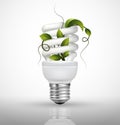 Energy saving lamp concept with lightbulb and green leaves Royalty Free Stock Photo