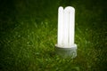 Energy saving lamp on the grass