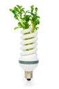 Energy saving lamp with green seedling Royalty Free Stock Photo