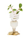 Energy saving lamp with green seedling on white Royalty Free Stock Photo