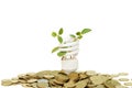 Energy saving lamp with green seedling on white Royalty Free Stock Photo