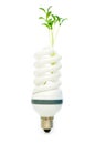 Energy saving lamp with seedling on white Royalty Free Stock Photo