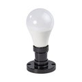 An energy saving LED lamp screwed into a black socket isolated on white