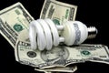 Energy Saving Light Bulb Royalty Free Stock Photo
