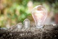 Energy saving light bulb and coin stacks with soil on top and tree are growing to show concept saving money Royalty Free Stock Photo