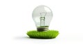 Energy saving light bulb covered in green grass. Concept of sustainable resources in white grey background Royalty Free Stock Photo